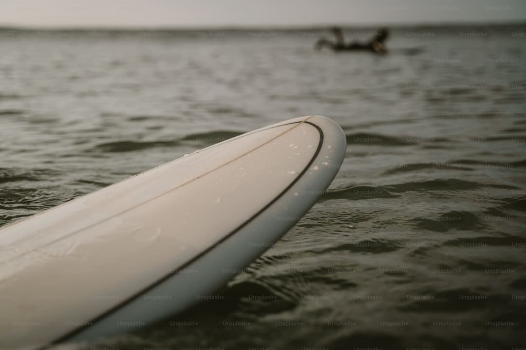 漳浦：告别排长龙 “潮汐窗口”高效灵活